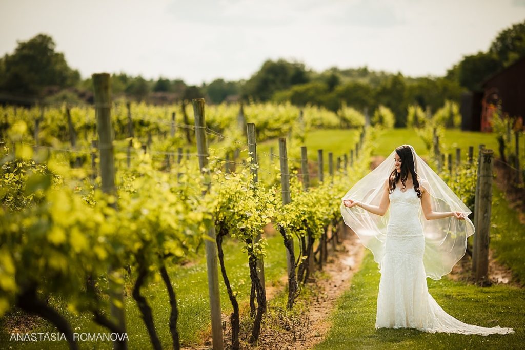 A photo of a gorgeous bride with the flowing veil at Crossing Vineyards
